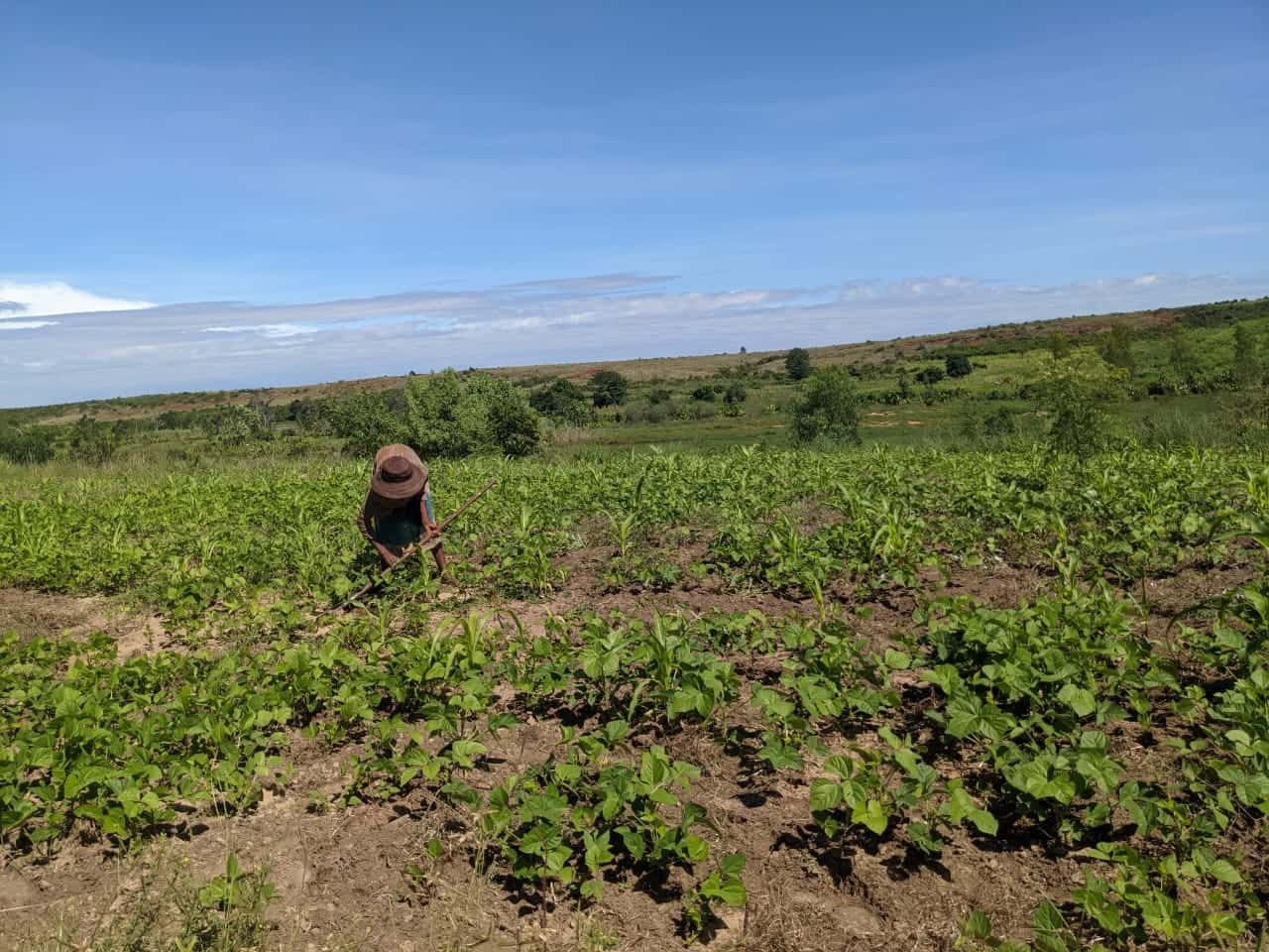 Rationale behind the creation of Visa Africa